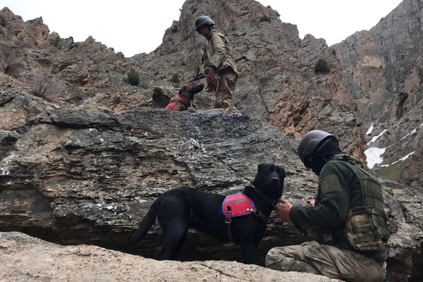 Van'da terör operasyonu