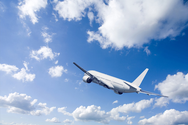 Avustralyalı pilot 40 dakika boyunca baygın halde uçtu