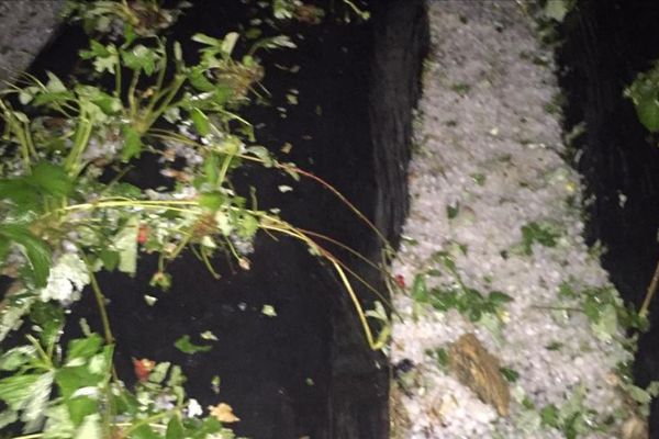 Manisa'da dolu tarım arazilerine zarar verdi