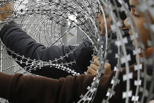 Yunanistan'ın Türkiye'ye gönderdiği göçmenler: Elektrikli copla dövüldük