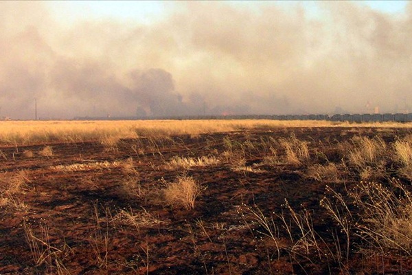 BM: Suriye'de binlerce dönümlük ekili tarım arazisi yakıldı
