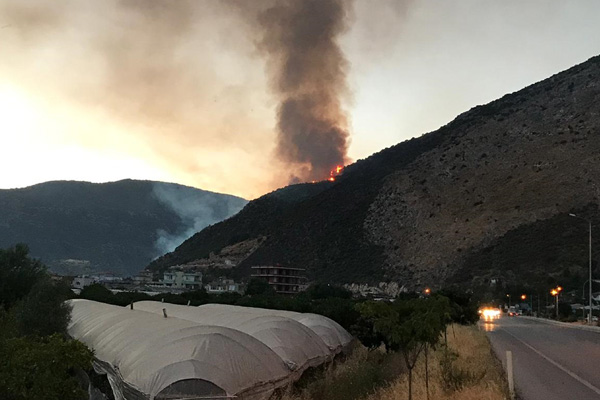 Antalya'da orman yangını: Söndürülemiyor!