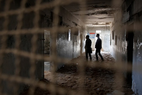 ABD Filistinli profesörü İsrail'e verdi