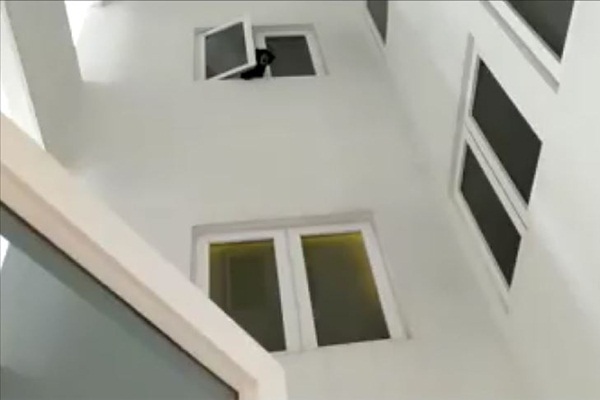 Malezya'da koruma altına alınan ayı yavrusu boş apartmanda bulundu