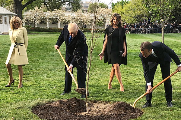 Trump ve Macron'un dostluk fidanı kurudu