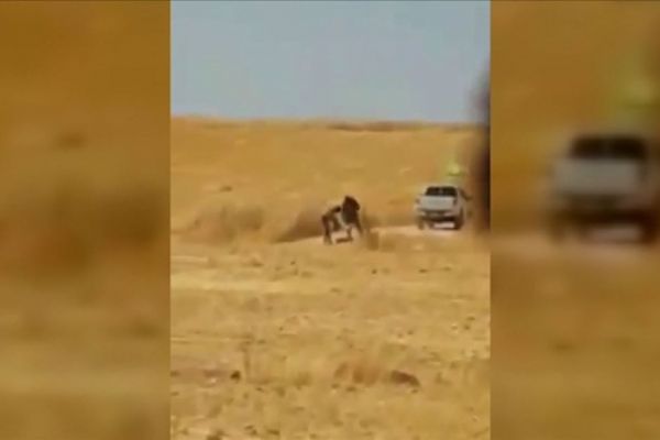 YPG/PKK'lı teröristler sivillere ait arazileri ateşe verirken görüntülendi