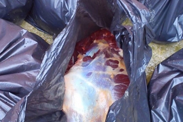 Bursa’da 100 kilo at eti ele geçirildi