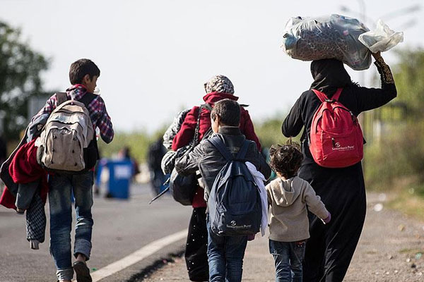 Sığınmacılar Slovenya'dan Avusturya'ya gidiyor