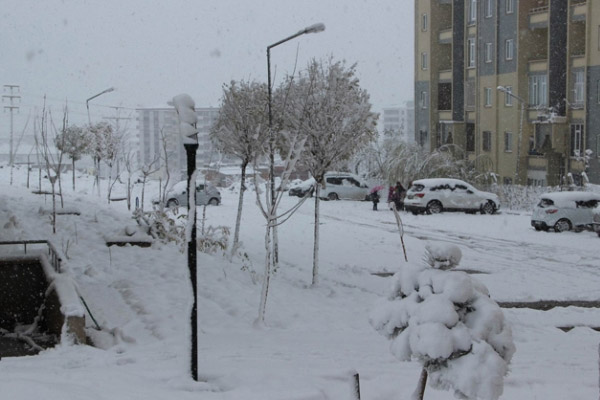 Diyarbakır’da 4 ilçede kar tatili