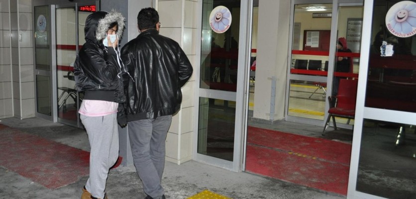 Niğde'de domuz gribi paniği