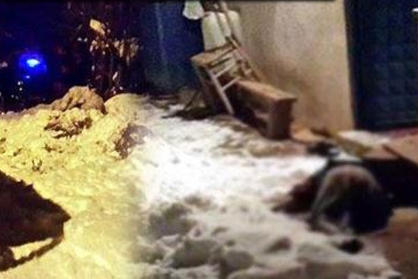 Yaşlı çiftin acılı ölümleri