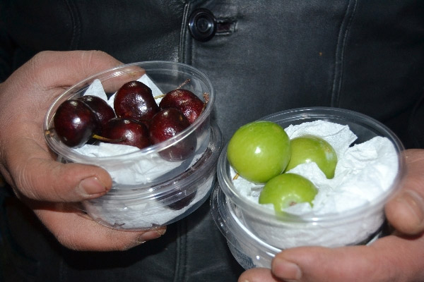 5 çeyrek altına 1 kilo erik alınabiliyor