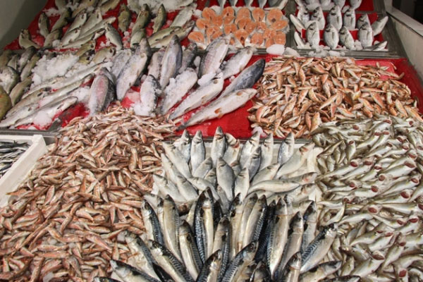 Soğuklar balık fiyatlarını vurdu