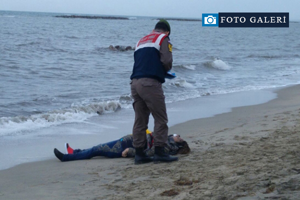 Bir bot faciası daha