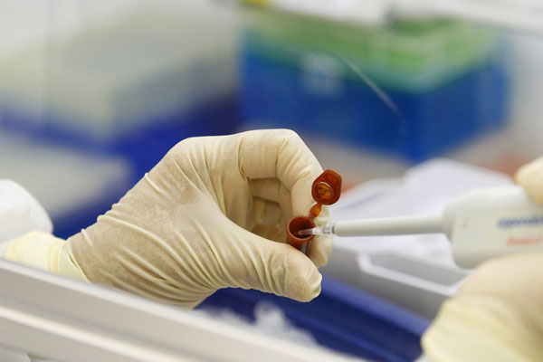 Hastanede domuz gribi paniği