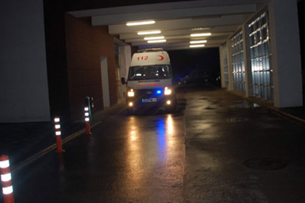 Adıyaman’da domuz gribi can aldı