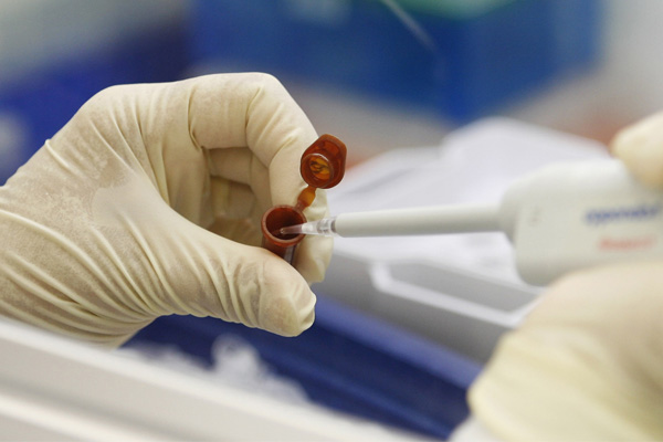 Domuz gribi 2 can daha aldı