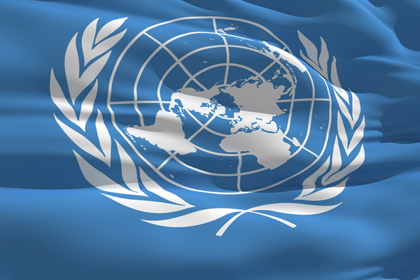 BM'den Madaya açıklaması