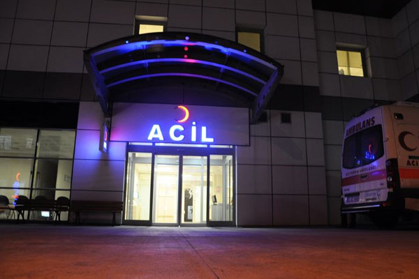 Hatay'da domuz gribi can aldı