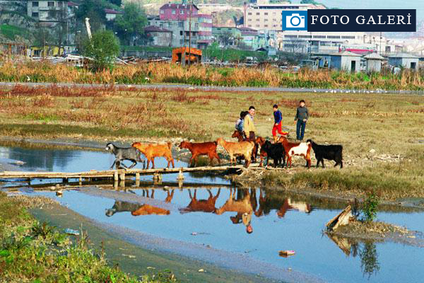 Bir zamanlar İstanbul