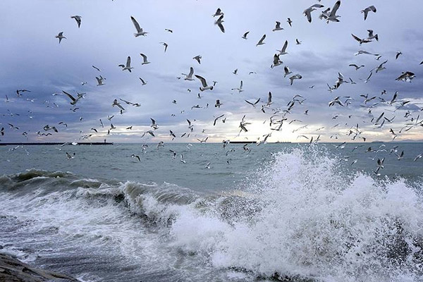 Marmara'da ulaşıma lodos engeli