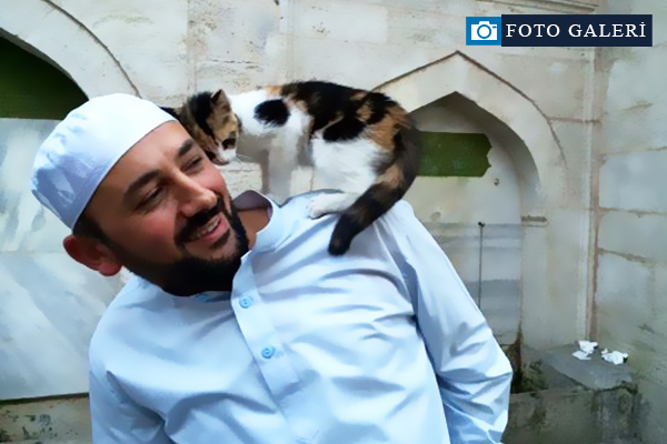 Sokak kedilerine caminin kapılarını açan imam
