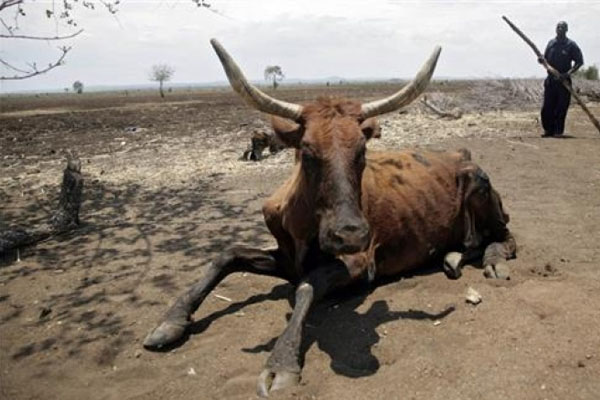 '14 milyon kişi açlıkla karşı karşıya'