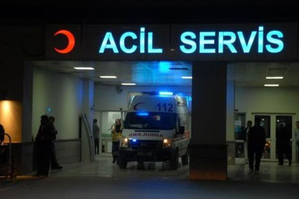 Domuz gribi, İstanbul'da bir can aldı