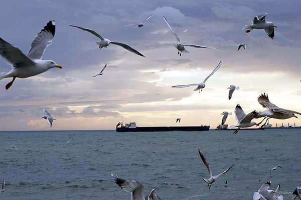 Marmara'da Karayel etkisini kaybetti