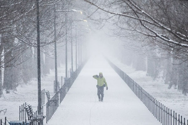 ABD'deki eyaletlerde olağanüstü hal ilanı