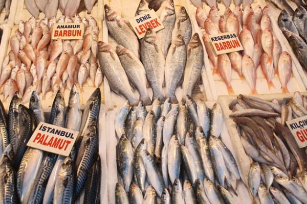 Kar yağışı balık fiyatlarını uçurdu