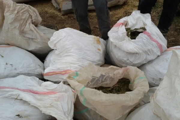 76 'torbacı' yakalandı