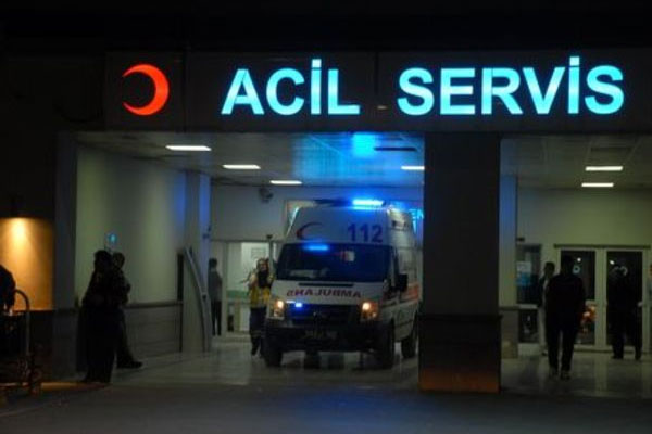 Domuz gribi Giresun'a sıçradı