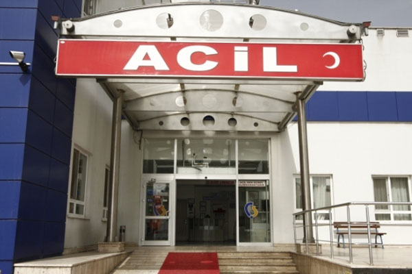 Domuz gribi bir can daha aldı