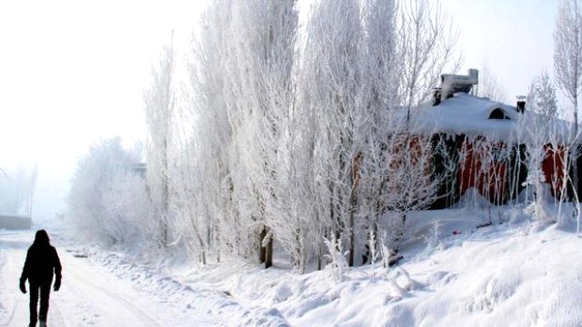 Çaldıran, gece -41.2 dereceyi gördü