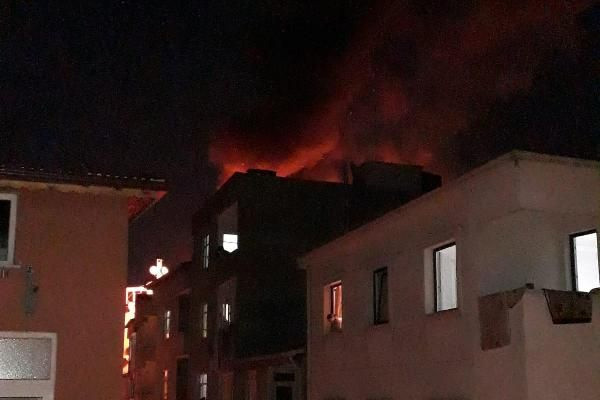 Esenler'de 5 katlı binada yangın: 70 güvercin telef oldu