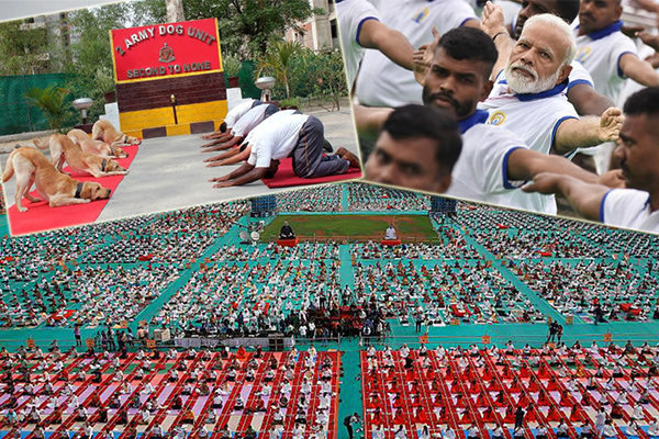 Hindistan’da başbakandan ordu köpeklerine kadar herkes meditasyonda!