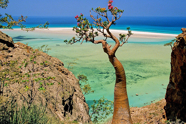 BAE,Yemen'in doğa harikası stratejik adasına göz dikti!