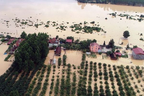 Samsun'da sağanak ev ve tarım arazilerini su altında bıraktı