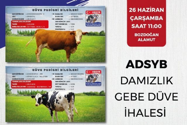 ADSYB Damızlık Düve Merkezinde yetiştirilen ilk parti 68 düve ihaleye çıkıyor