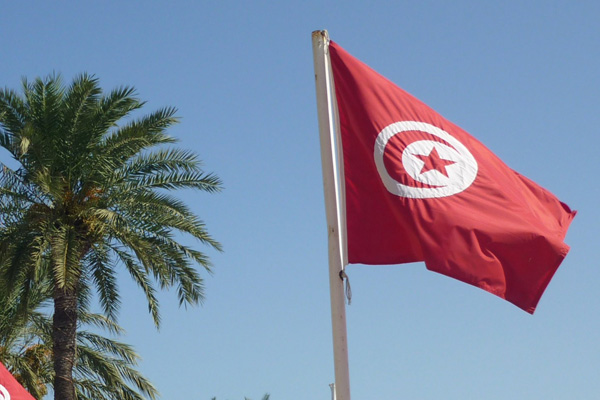 Dünya Müslüman Alimler Birliği'nden Tunus'taki terör saldırılarına kınama