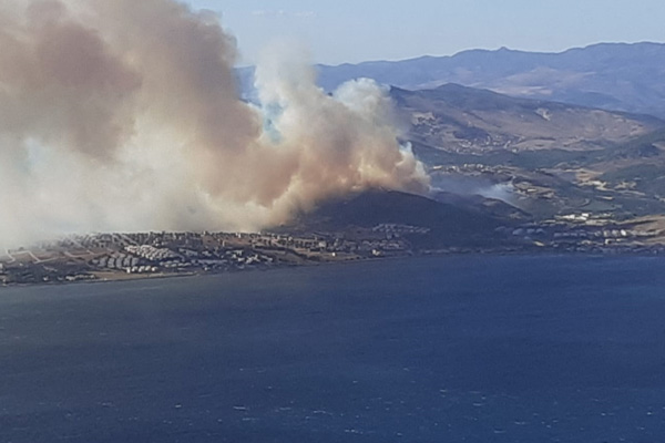 İzmir'de orman yangını