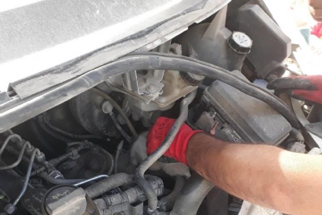 Aracın motor bölmesine sıkışan yavru kedi kurtarıldı