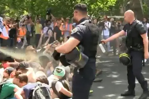 Fransa'da çevrecilere biber gazı sıkan polislere soruşturma