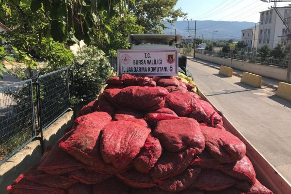 Bursa’da 12 ton kaçak midye ele geçirildi