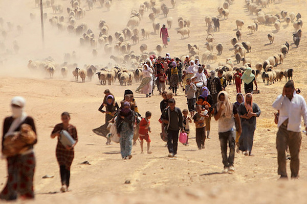 Irak'ta 1 milyon 600 bin kişi iç göçmen durumunda