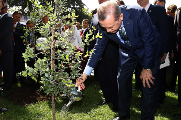 Erdoğan'dan 'Ağaç Dikme Bayramı' önerisine destek