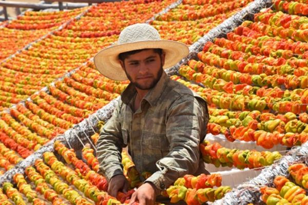 Rengarenk 'Antep kurutmalıklar' tezgahlara asıldı