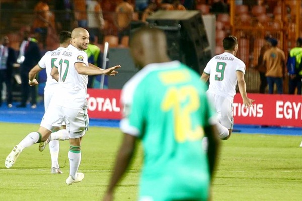 Cezayir şampiyon oldu