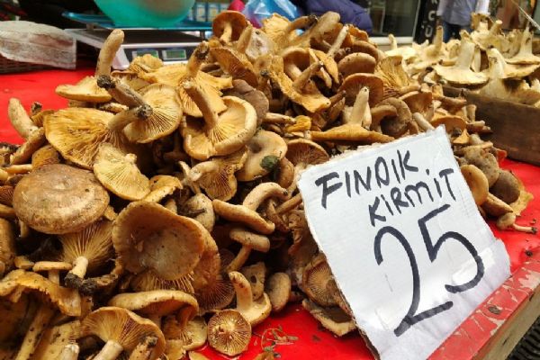 Fındık mantarı tezgahlarda